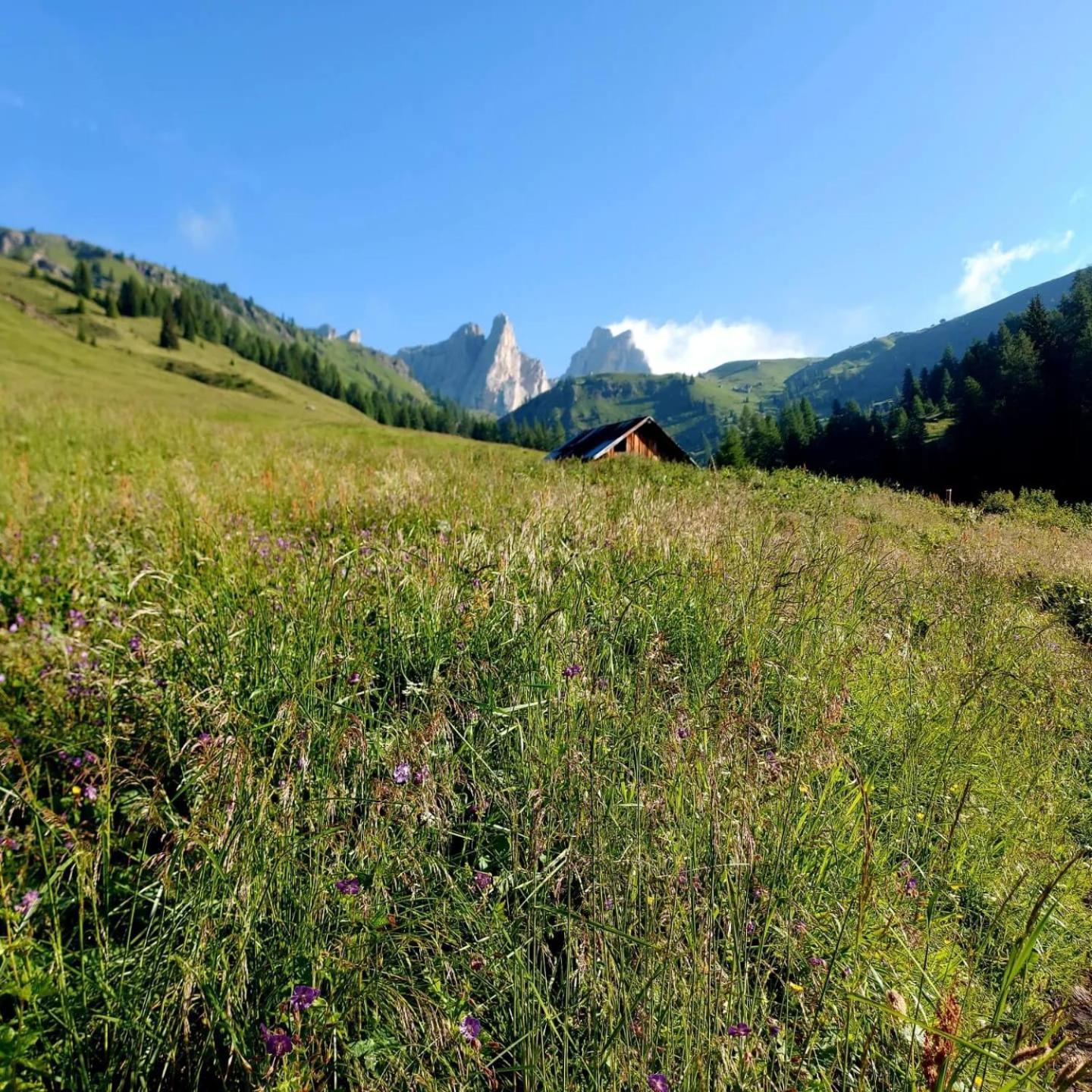 La Poesia Dolomiti Apartments Comune Rivamonte Agordino Exterior foto