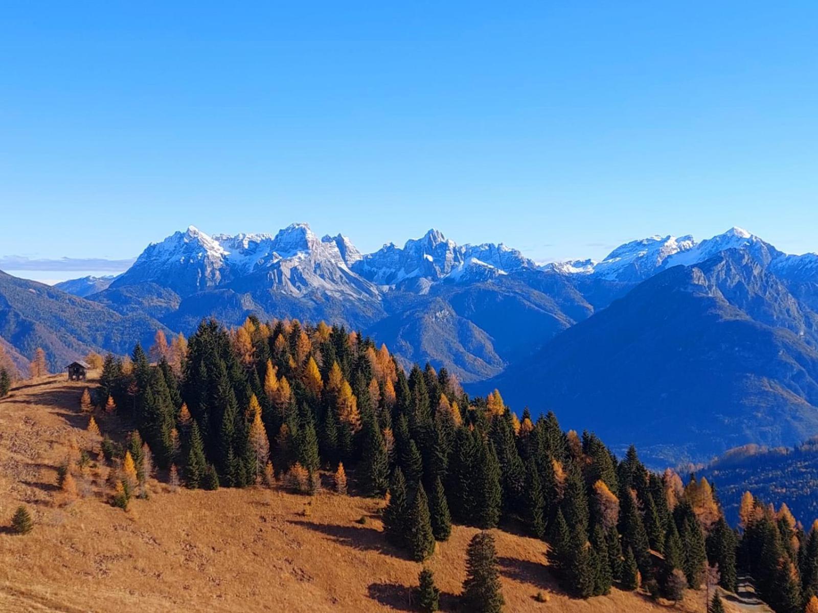 La Poesia Dolomiti Apartments Comune Rivamonte Agordino Exterior foto