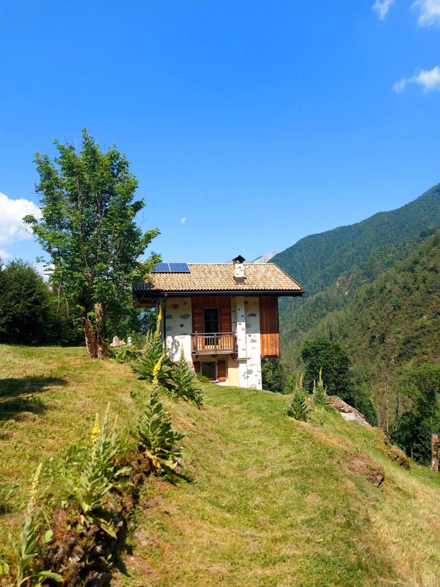 La Poesia Dolomiti Apartments Comune Rivamonte Agordino Exterior foto