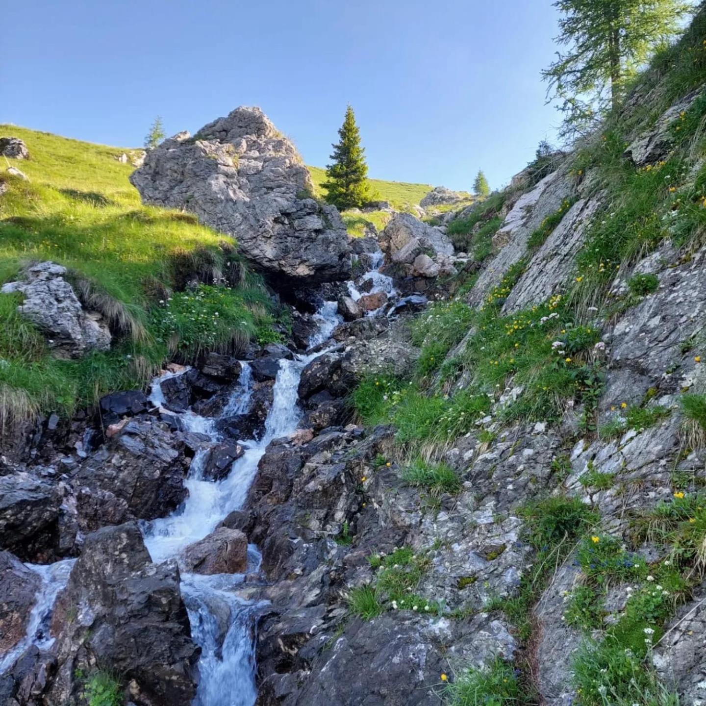 La Poesia Dolomiti Apartments Comune Rivamonte Agordino Exterior foto